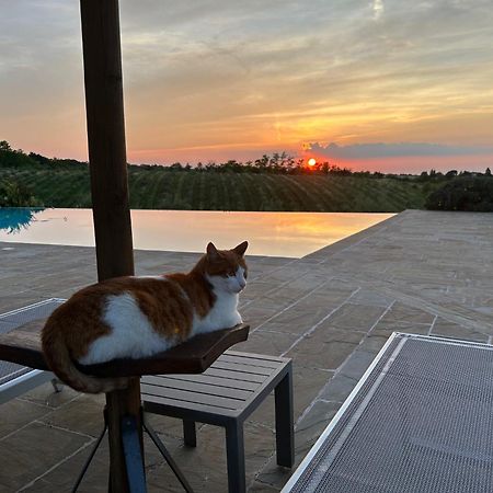 Agriturismo La Rinaldina Фаенца Екстер'єр фото