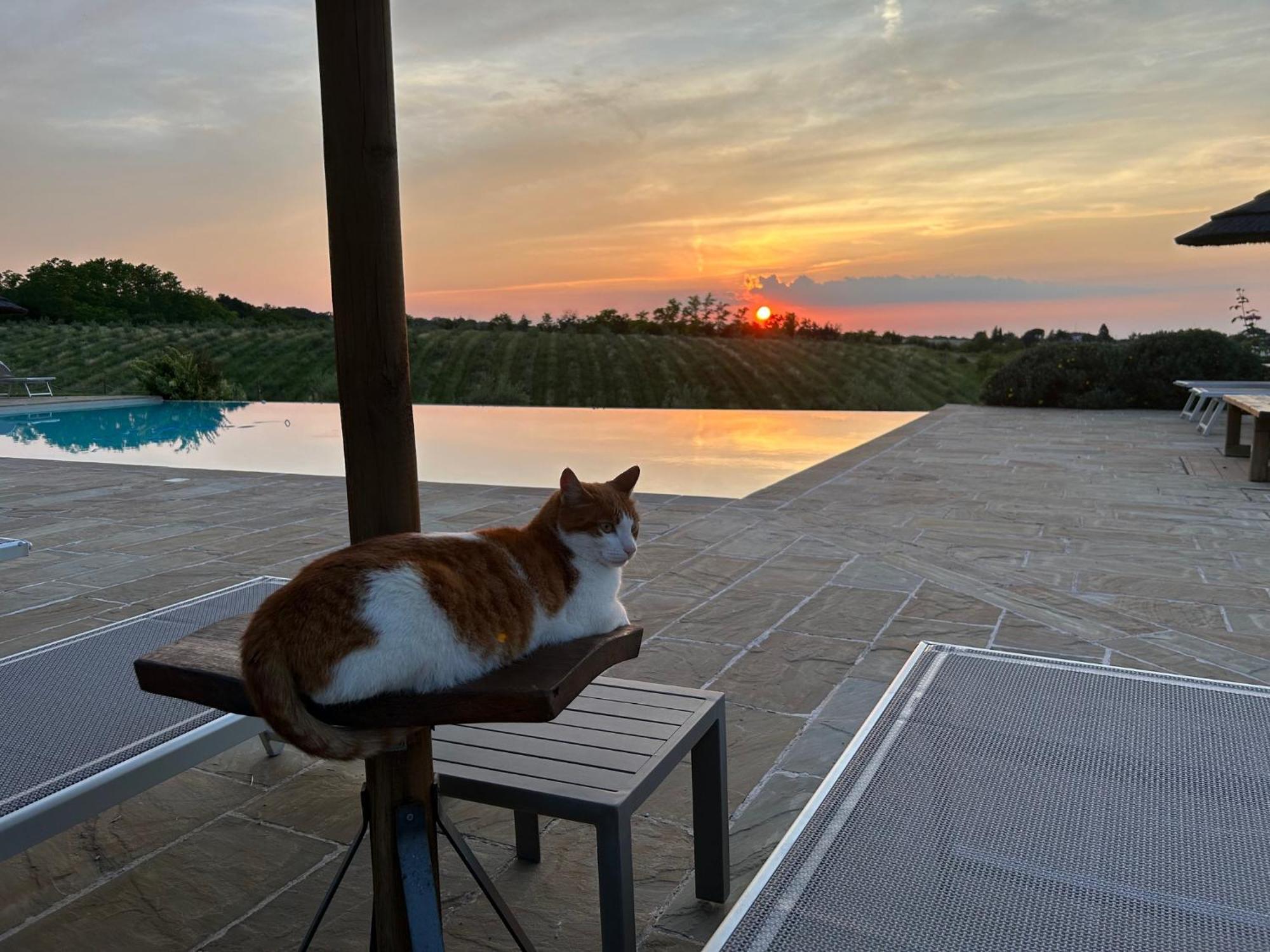 Agriturismo La Rinaldina Фаенца Екстер'єр фото