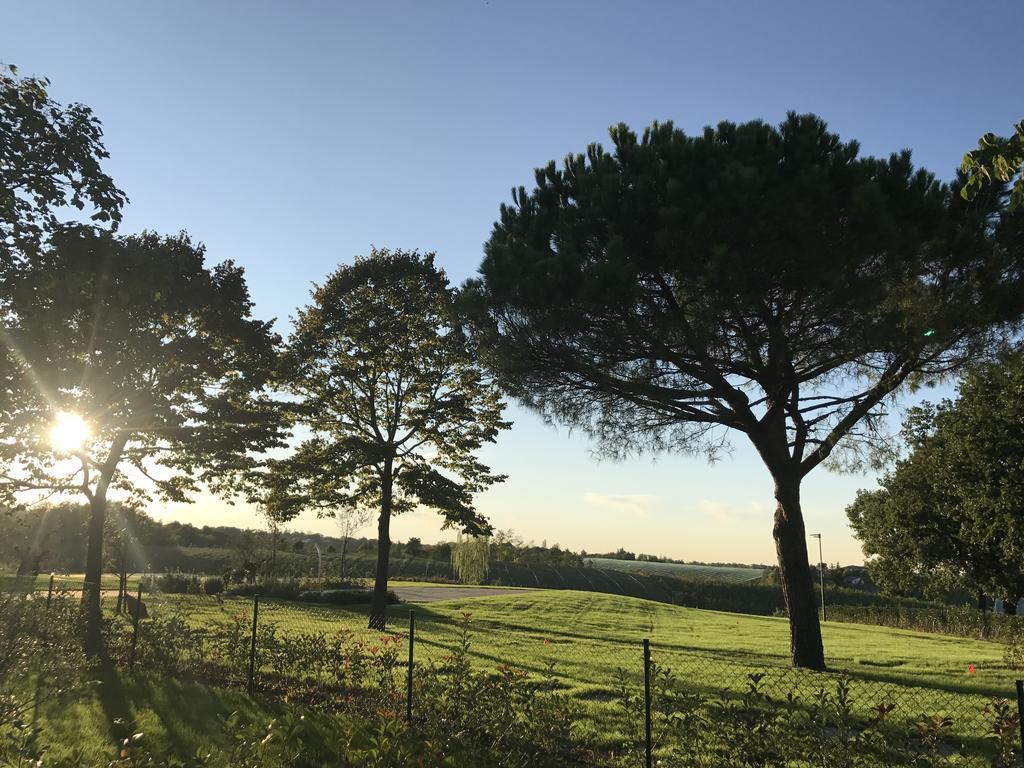 Agriturismo La Rinaldina Фаенца Екстер'єр фото