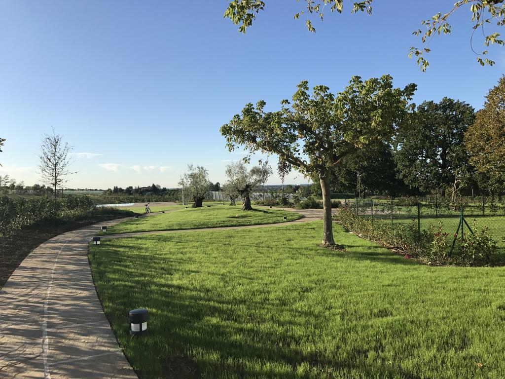 Agriturismo La Rinaldina Фаенца Екстер'єр фото
