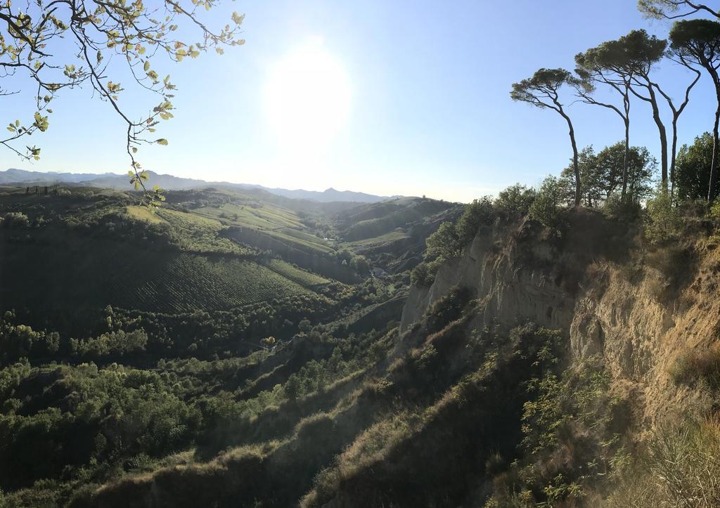 Agriturismo La Rinaldina Фаенца Екстер'єр фото