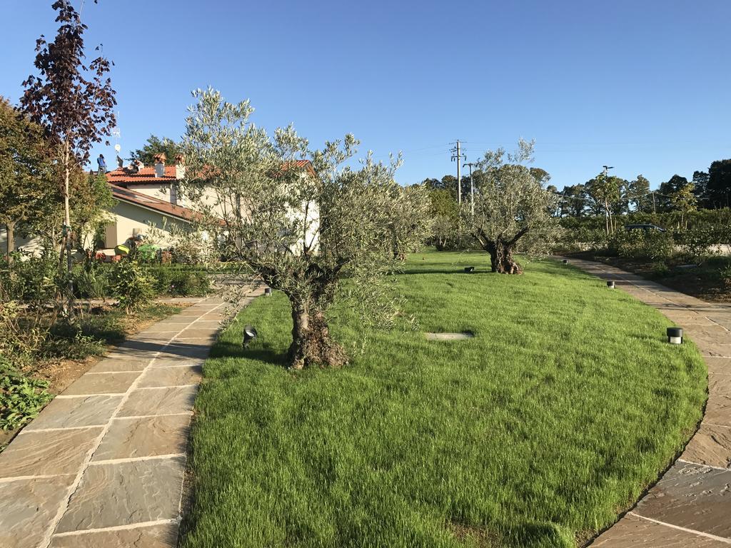 Agriturismo La Rinaldina Фаенца Екстер'єр фото