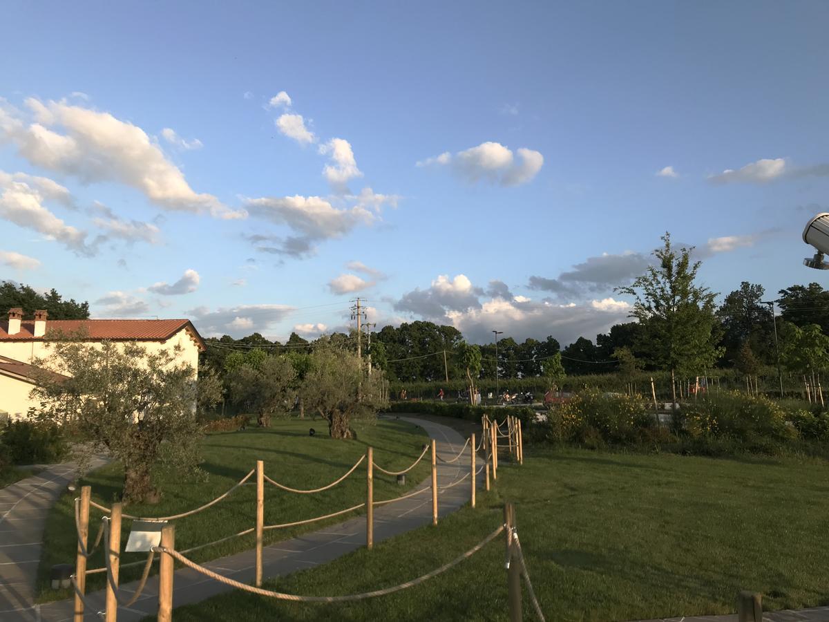 Agriturismo La Rinaldina Фаенца Екстер'єр фото